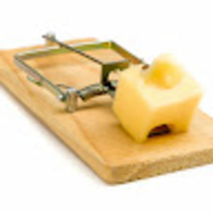 Meet your Posher, Fox